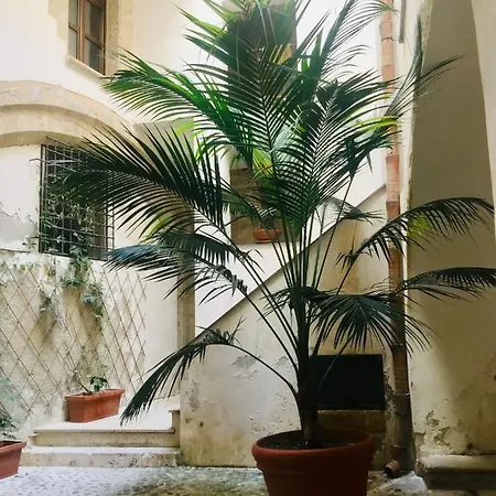 Terrazza Rosa Bianca شقة *